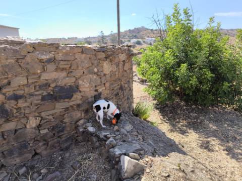 MORADIA EM PEDRA - COM TERRENO DE 200 M2 - COM PROJECTO - FAZ-FATO - TAVIRA - ALGARVE