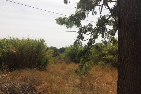 Apart hôtel de 32 quartos e piscina na Ria formosa, com possibilidade de ampliação.