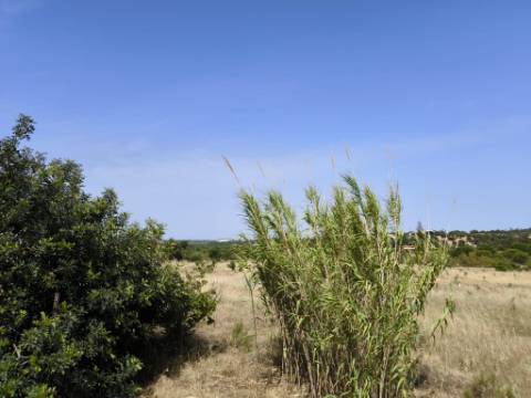 MORADIA COM PISCINA - COM TERRENO DE 19.860 M² - VISTA MAR - COM FURO - SISTEMA DE REGA - EM SÃO BARTOLOMEU - A POUCOS MINUTOS DA PRAIA VERDE - CASTRO MARIM - ALGARVE