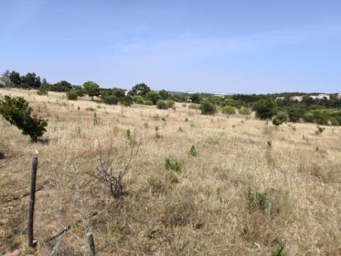 MORADIA COM PISCINA - COM TERRENO DE 19.860 M² - VISTA MAR - COM FURO - SISTEMA DE REGA - EM SÃO BARTOLOMEU - A POUCOS MINUTOS DA PRAIA VERDE - CASTRO MARIM - ALGARVE