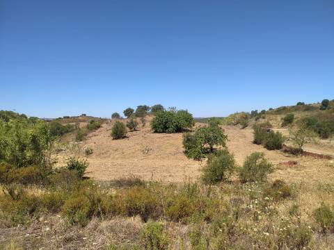 Terreno Rústico com 40000 m² com poço, Azinhal, Castro Marim