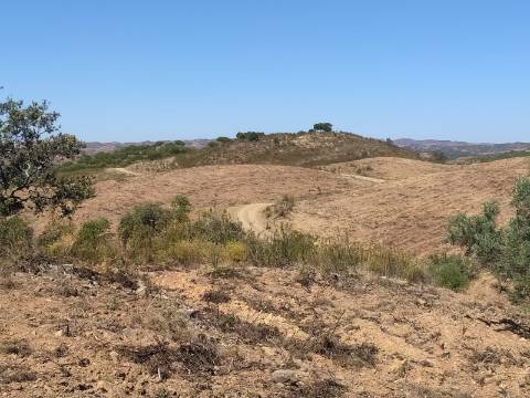 Terreno Rústico com 40000 m² com poço, Azinhal, Castro Marim