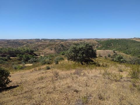 TERRENO RUSTICO COM 23000 M2 - COM POSSIBILIDADE DE CONSTRUÇÃO APOIO AGRICOLA AZINHAL CASTRO MARIM ALGARVE