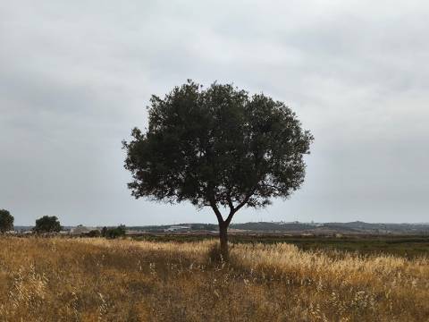 TERRENO MISTO COM 34680 M2 - AREA URBANA 680 M2 - NAS SALINAS - PLANO - CASTRO MARIM - ALGARVE