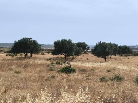 TERRENO MISTO COM 34680 M2 - AREA URBANA 680 M2 - NAS SALINAS - PLANO - CASTRO MARIM - ALGARVE