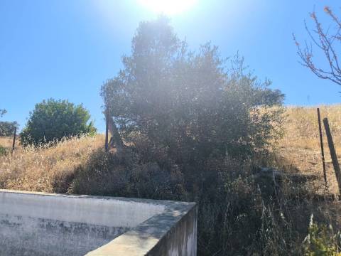 TERRENO COM 15360 M2 - COM ÁGUA E LUZ JA INSTALOS E A FUNCIONAR - FURO - TANQUE DE REGA - VEDAÇÃO - VINHA - VALE PEREIRO - MONTINHO - CASTRO MARIM - ALGARVE