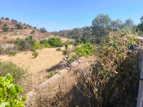 TERRENO COM 15360 M2 - COM ÁGUA E LUZ JA INSTALOS E A FUNCIONAR - FURO - TANQUE DE REGA - VEDAÇÃO - VINHA - VALE PEREIRO - MONTINHO - CASTRO MARIM - ALGARVE