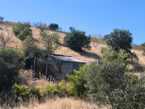 TERRENO COM 15360 M2 - COM ÁGUA E LUZ JA INSTALOS E A FUNCIONAR - FURO - TANQUE DE REGA - VEDAÇÃO - VINHA - VALE PEREIRO - MONTINHO - CASTRO MARIM - ALGARVE