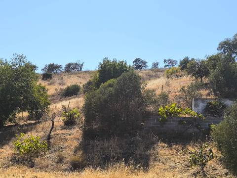 TERRENO COM 15360 M2 - COM ÁGUA E LUZ JA INSTALOS E A FUNCIONAR - FURO - TANQUE DE REGA - VEDAÇÃO - VINHA - VALE PEREIRO - MONTINHO - CASTRO MARIM - ALGARVE