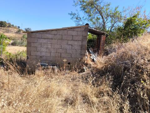 TERRENO COM 15360 M2 - COM ÁGUA E LUZ JA INSTALOS E A FUNCIONAR - FURO - TANQUE DE REGA - VEDAÇÃO - VINHA - VALE PEREIRO - MONTINHO - CASTRO MARIM - ALGARVE