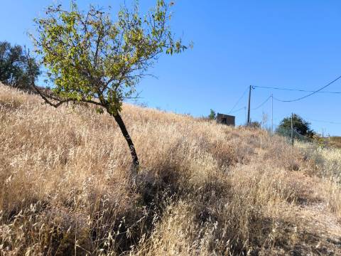 TERRENO COM 15360 M2 - COM ÁGUA E LUZ JA INSTALOS E A FUNCIONAR - FURO - TANQUE DE REGA - VEDAÇÃO - VINHA - VALE PEREIRO - MONTINHO - CASTRO MARIM - ALGARVE