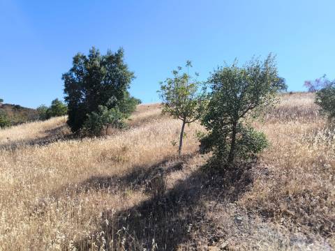 TERRENO COM 15360 M2 - COM ÁGUA E LUZ JA INSTALOS E A FUNCIONAR - FURO - TANQUE DE REGA - VEDAÇÃO - VINHA - VALE PEREIRO - MONTINHO - CASTRO MARIM - ALGARVE