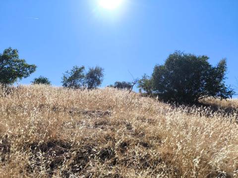 TERRENO COM 15360 M2 - COM ÁGUA E LUZ JA INSTALOS E A FUNCIONAR - FURO - TANQUE DE REGA - VEDAÇÃO - VINHA - VALE PEREIRO - MONTINHO - CASTRO MARIM - ALGARVE
