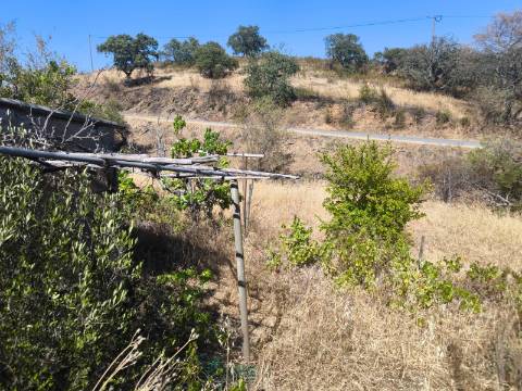 TERRENO COM 15360 M2 - COM ÁGUA E LUZ JA INSTALOS E A FUNCIONAR - FURO - TANQUE DE REGA - VEDAÇÃO - VINHA - VALE PEREIRO - MONTINHO - CASTRO MARIM - ALGARVE
