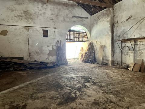 Centro de Olhão | Projeto para Até 1.600 m² de Construção | Até 5 Pisos | Oportunidade para Promotores