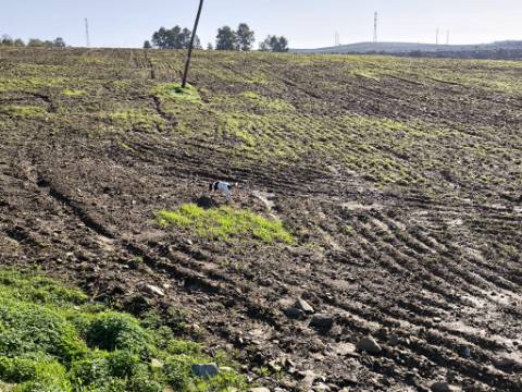 TERRENO COM 79.120 M2 - PARA CONSTRUÇÃO DE HABITAÇÃO E OU TURISMO - EMPREENDIMENTO - PEREIRO - ALCOUTIM - ALGARVE