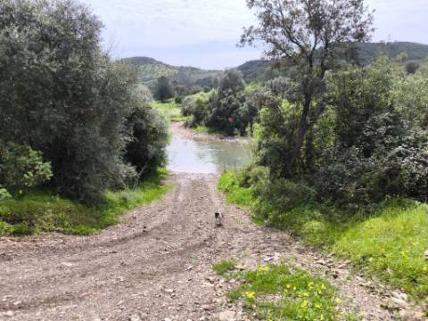 MORADIA T2 - COM TERRENO DE 3628 M2 - CONFRONTA COM RIBEIRO - EM RUÍNAS NO CURAL DA PEDRA - JUNTO AO RIBEIRO - TAVIRA - ALGARVE