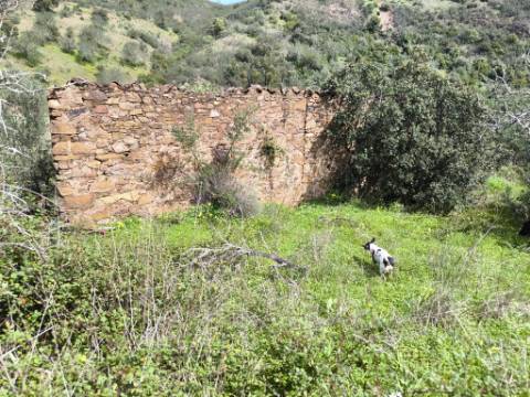 MORADIA T2 - COM TERRENO DE 3628 M2 - CONFRONTA COM RIBEIRO - EM RUÍNAS NO CURAL DA PEDRA - JUNTO AO RIBEIRO - TAVIRA - ALGARVE