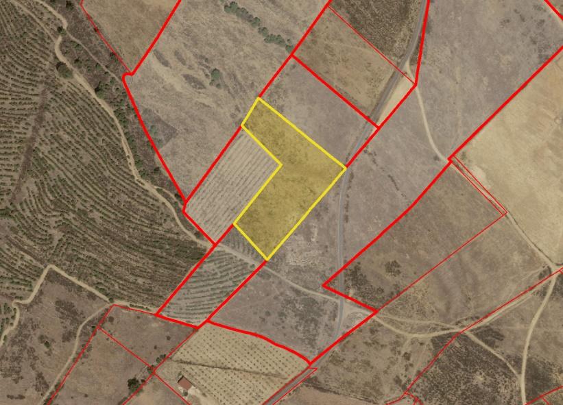 Terreno Rústico com 11.000 m² junto à Aldeia de Martim Longo - Excelente Oportunidade de Investimento