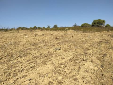 Terreno Rústico com 11.000 m² junto à Aldeia de Martim Longo - Excelente Oportunidade de Investimento