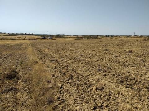 Terreno Rústico com 11.000 m² junto à Aldeia de Martim Longo - Excelente Oportunidade de Investimento