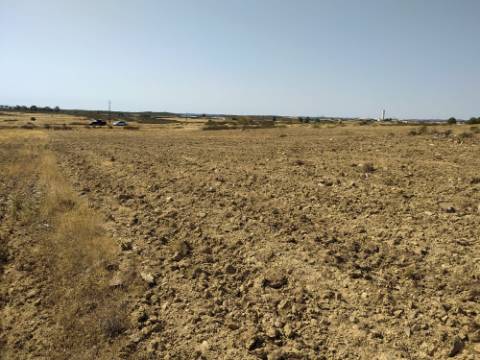 Terreno Rústico com 11.000 m² junto à Aldeia de Martim Longo - Excelente Oportunidade de Investimento