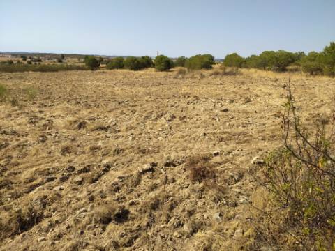 Terreno Rústico com 11.000 m² junto à Aldeia de Martim Longo - Excelente Oportunidade de Investimento