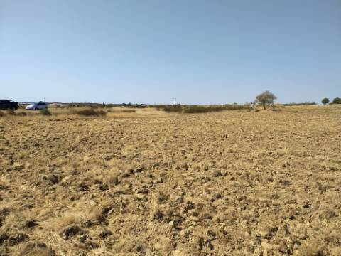 Terreno Rústico com 11.000 m² junto à Aldeia de Martim Longo - Excelente Oportunidade de Investimento