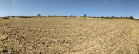 Terreno Rústico com 11.000 m² junto à Aldeia de Martim Longo - Excelente Oportunidade de Investimento