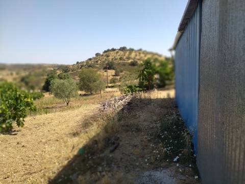 Terreno Rústico Junto à Aldeia, forte Potencial de construção monte dos Castelhanos, Martim Longo