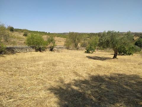 Terreno Rústico Junto à Aldeia, forte Potencial de construção monte dos Castelhanos, Martim Longo