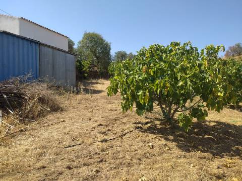 Terreno Rústico Junto à Aldeia, forte Potencial de construção monte dos Castelhanos, Martim Longo