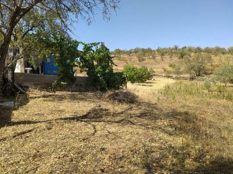 Terreno Rústico Junto à Aldeia, forte Potencial de construção monte dos Castelhanos, Martim Longo