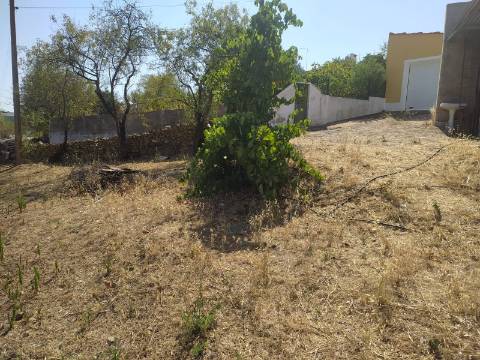 Terreno Rústico Junto à Aldeia, forte Potencial de construção monte dos Castelhanos, Martim Longo