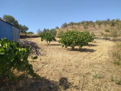 Terreno Rústico Junto à Aldeia, forte Potencial de construção monte dos Castelhanos, Martim Longo