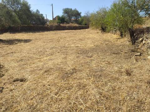 Terreno Rústico Junto à Aldeia, forte Potencial de construção monte dos Castelhanos, Martim Longo
