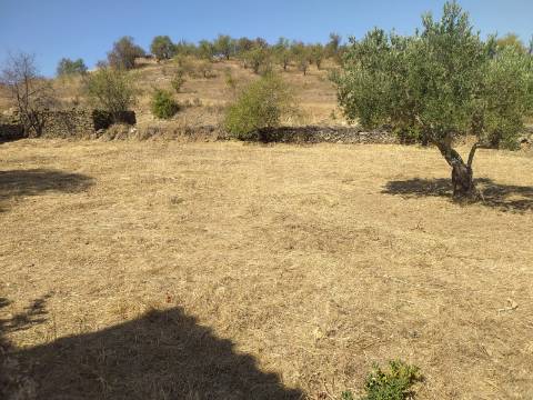 Terreno Rústico Junto à Aldeia, forte Potencial de construção monte dos Castelhanos, Martim Longo