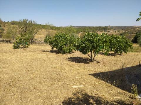 Terreno Rústico Junto à Aldeia, forte Potencial de construção monte dos Castelhanos, Martim Longo