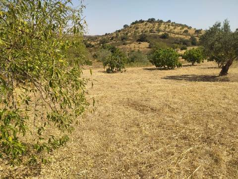 Terreno Rústico Junto à Aldeia, forte Potencial de construção monte dos Castelhanos, Martim Longo