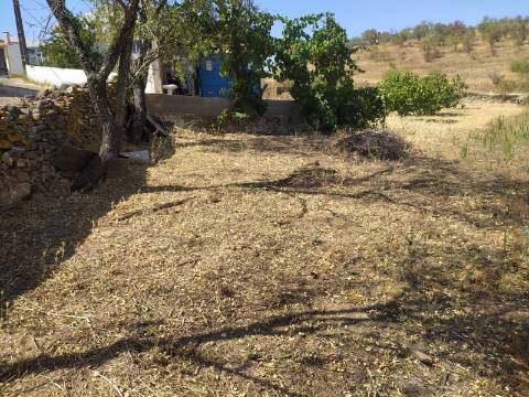 Terreno Rústico Junto à Aldeia, forte Potencial de construção monte dos Castelhanos, Martim Longo