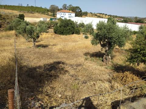 Terreno Rústico com Viabilidade de Construção