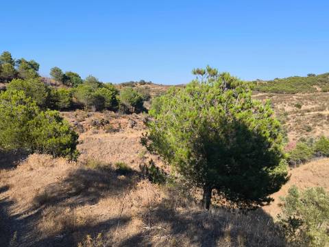 TERRENO COM 73700 M2 - COM LAGO PRÓPRIO - MUITAS ÁRVORES - POSSIBILIDADE DE CONSTRUÇÃO DE HABITAÇÃO E OU TURISMO RURAL - PRÓXIMO AO PIÇARRAL - AZINHAL - CASTRO MARIM - ALGARVE