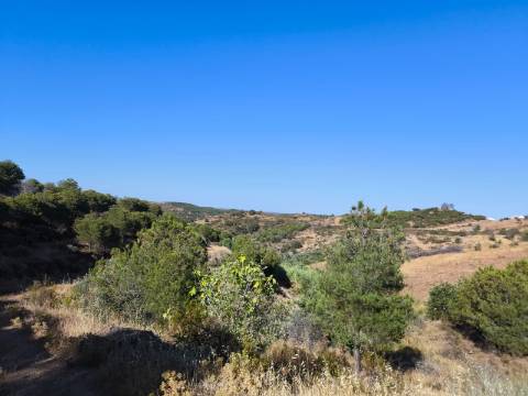 TERRENO COM 73700 M2 - COM LAGO PRÓPRIO - MUITAS ÁRVORES - POSSIBILIDADE DE CONSTRUÇÃO DE HABITAÇÃO E OU TURISMO RURAL - PRÓXIMO AO PIÇARRAL - AZINHAL - CASTRO MARIM - ALGARVE