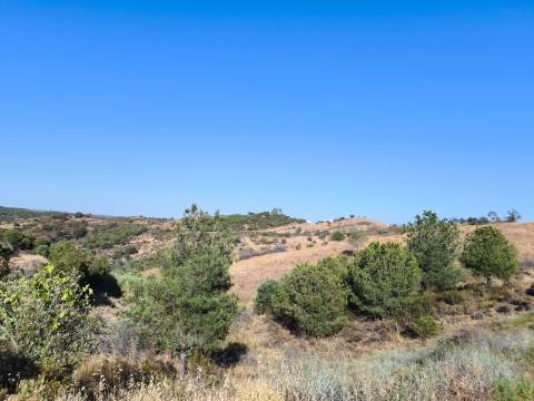 TERRENO COM 73700 M2 - COM LAGO PRÓPRIO - MUITAS ÁRVORES - POSSIBILIDADE DE CONSTRUÇÃO DE HABITAÇÃO E OU TURISMO RURAL - PRÓXIMO AO PIÇARRAL - AZINHAL - CASTRO MARIM - ALGARVE