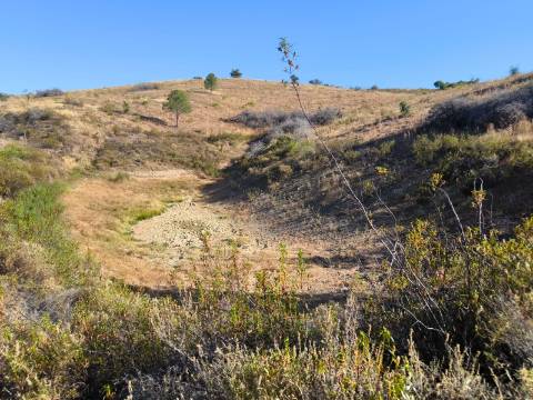 TERRENO COM 73700 M2 - COM LAGO PRÓPRIO - MUITAS ÁRVORES - POSSIBILIDADE DE CONSTRUÇÃO DE HABITAÇÃO E OU TURISMO RURAL - PRÓXIMO AO PIÇARRAL - AZINHAL - CASTRO MARIM - ALGARVE