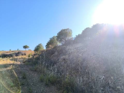 TERRENO COM 73700 M2 - COM LAGO PRÓPRIO - MUITAS ÁRVORES - POSSIBILIDADE DE CONSTRUÇÃO DE HABITAÇÃO E OU TURISMO RURAL - PRÓXIMO AO PIÇARRAL - AZINHAL - CASTRO MARIM - ALGARVE