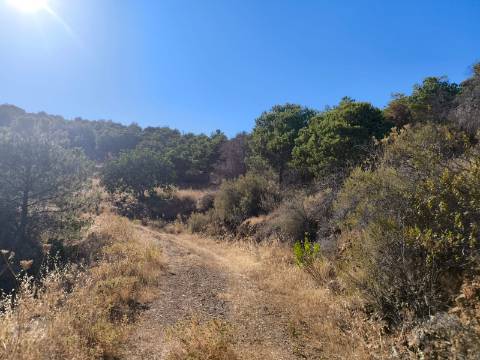 TERRENO COM 73700 M2 - COM LAGO PRÓPRIO - MUITAS ÁRVORES - POSSIBILIDADE DE CONSTRUÇÃO DE HABITAÇÃO E OU TURISMO RURAL - PRÓXIMO AO PIÇARRAL - AZINHAL - CASTRO MARIM - ALGARVE