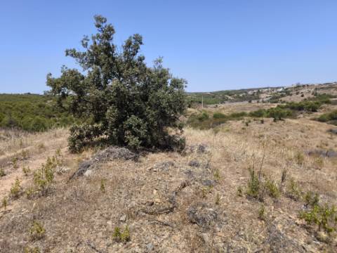 TERRENO COM 73700 M2 - COM LAGO PRÓPRIO - MUITAS ÁRVORES - POSSIBILIDADE DE CONSTRUÇÃO DE HABITAÇÃO E OU TURISMO RURAL - PRÓXIMO AO PIÇARRAL - AZINHAL - CASTRO MARIM - ALGARVE