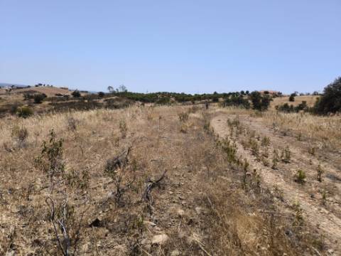 TERRENO COM 73700 M2 - COM LAGO PRÓPRIO - MUITAS ÁRVORES - POSSIBILIDADE DE CONSTRUÇÃO DE HABITAÇÃO E OU TURISMO RURAL - PRÓXIMO AO PIÇARRAL - AZINHAL - CASTRO MARIM - ALGARVE