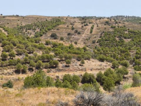 TERRENO COM 73700 M2 - COM LAGO PRÓPRIO - MUITAS ÁRVORES - POSSIBILIDADE DE CONSTRUÇÃO DE HABITAÇÃO E OU TURISMO RURAL - PRÓXIMO AO PIÇARRAL - AZINHAL - CASTRO MARIM - ALGARVE